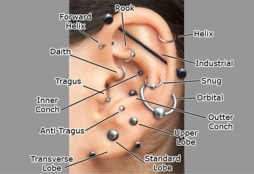 Фото услуги Прокол хряща уха ( rook, snug, orbital)