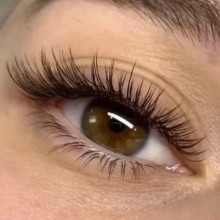 Ещё 2 фото услуги Ресницы black стандарт (1,2,3  bсd) без снятия