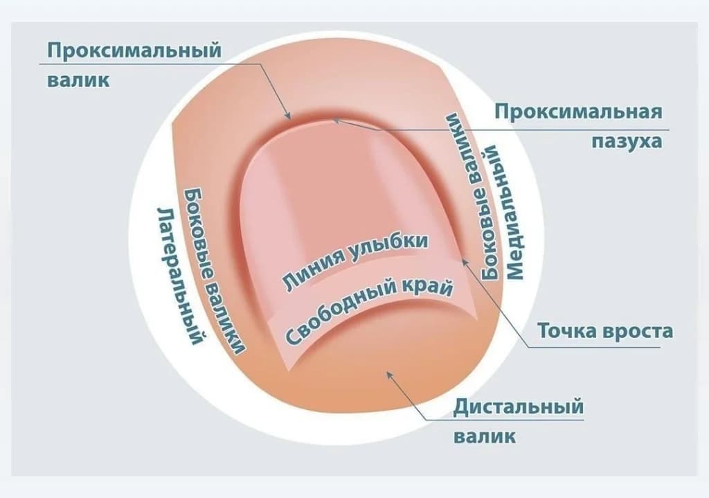 Фото услуги Маникюр с покрытием гель-лак