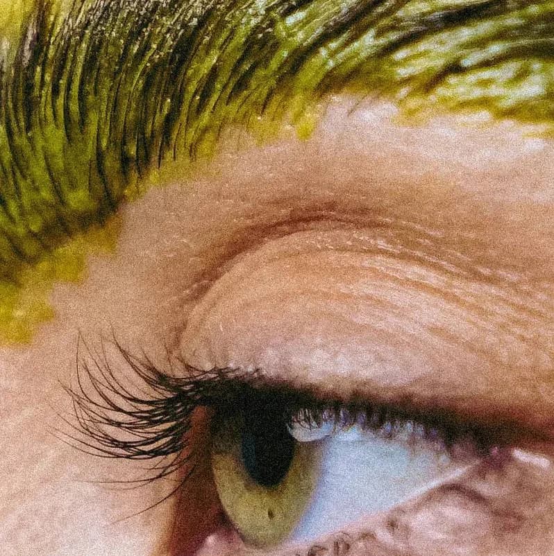 Записаться на услугу Organic brow