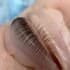 Фото услуги Ламинирование нижних ресниц + BOTOX