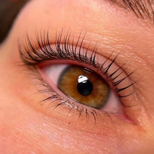Записаться на услугу Ламинирование ресниц + окрашивание и Botox Dlux Professional