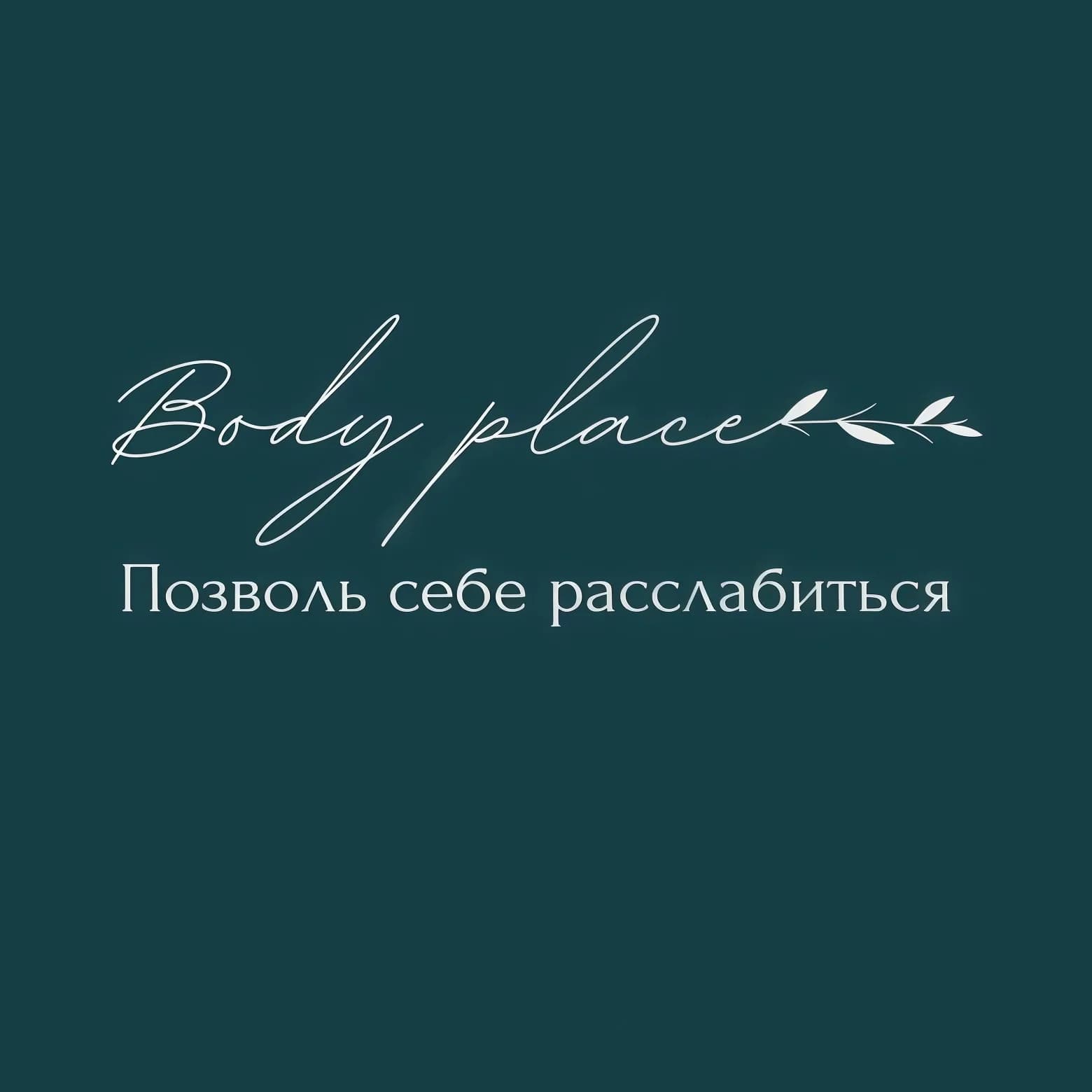 Фото логотипа салона красоты Body place