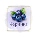 ЧЕРНИКА