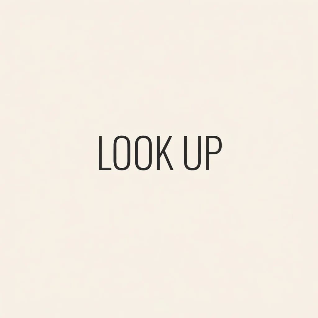 LOOKUP Соколиная Гора
