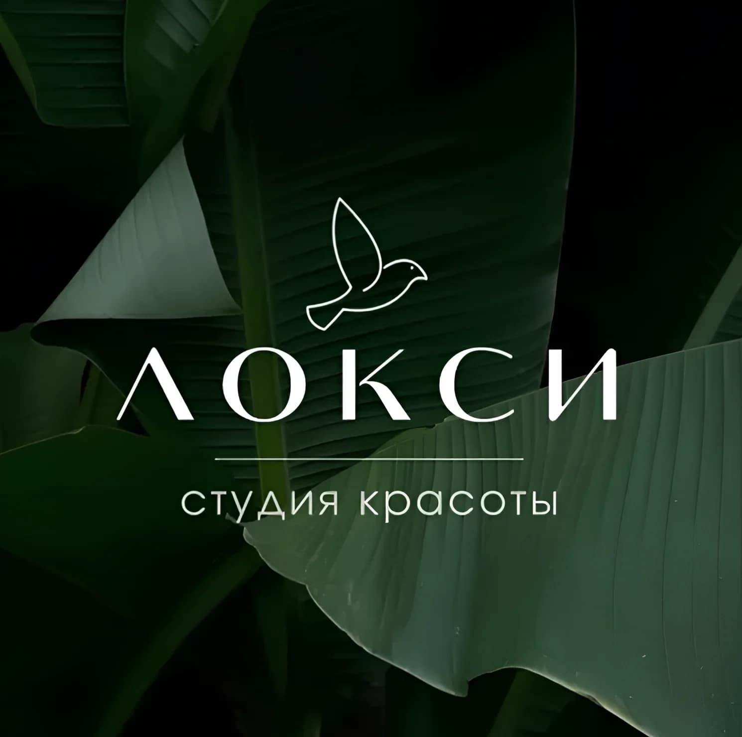 Фото салона Студия Красоты "Локси"