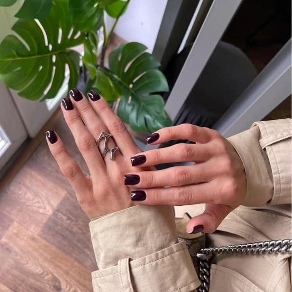 Пример работы LePurPurStudio (2)