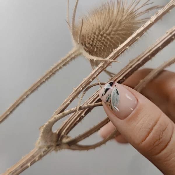Пример работы Oh, my nails! (1)