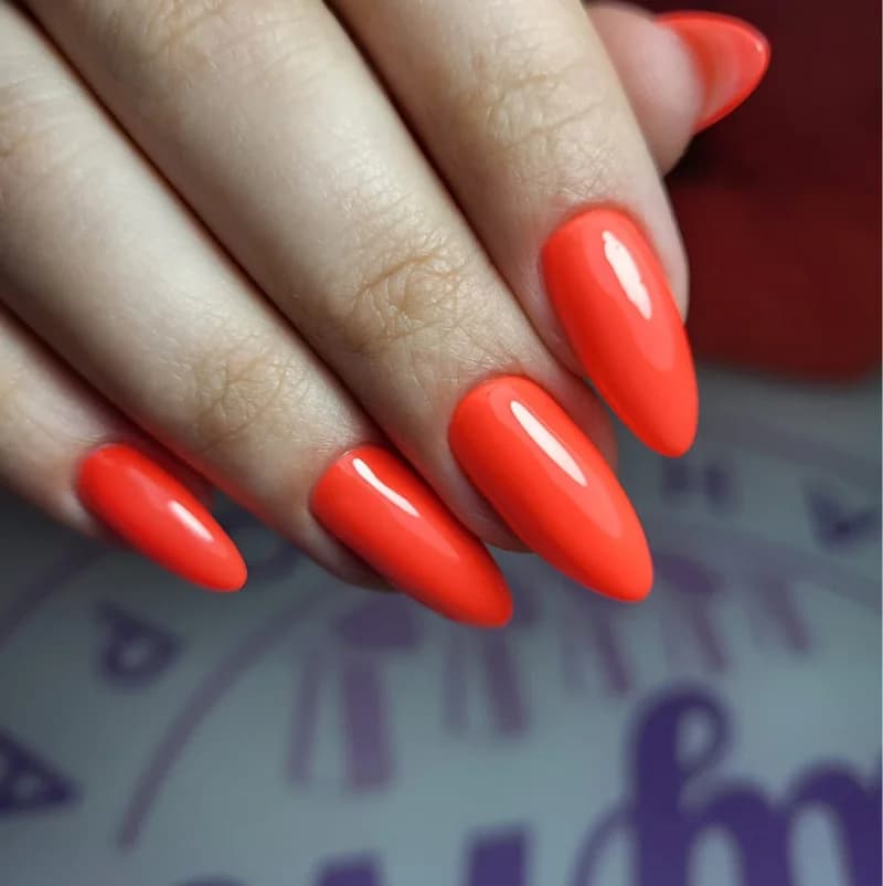 Пример работы Znails (2)