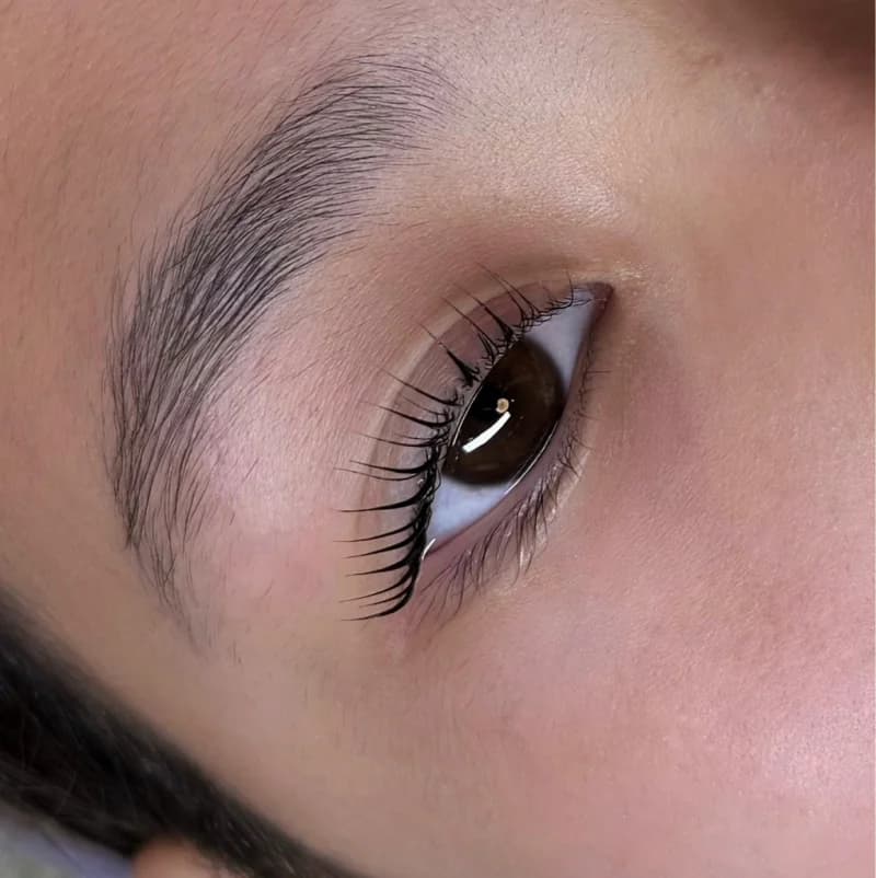 Пример работы Sanam_eyebrow (9)