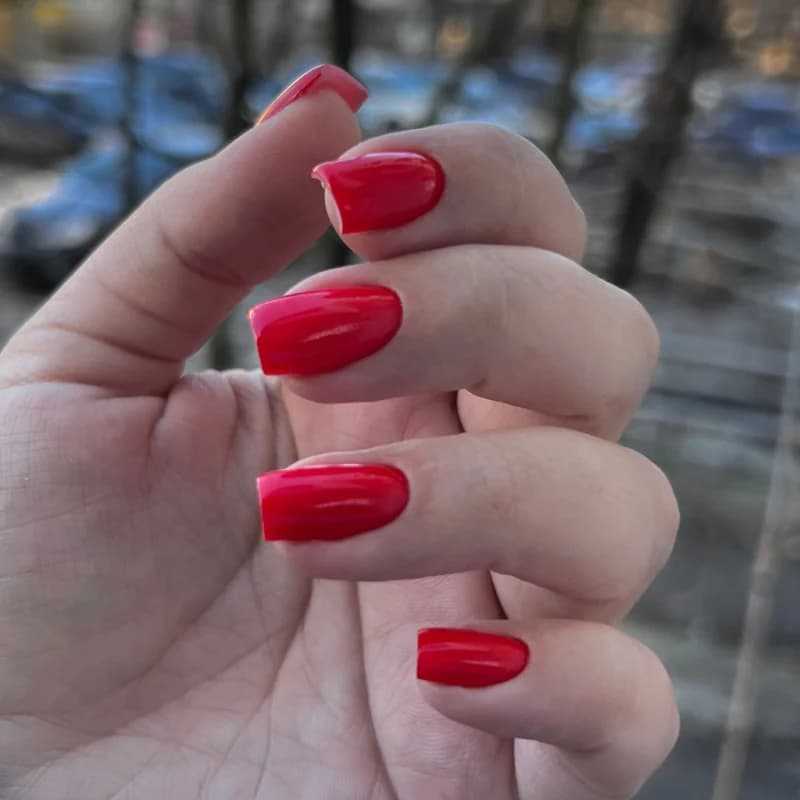 Пример работы Xanynail (9)