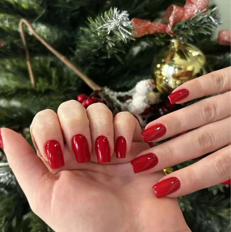 Пример работы Beauty Baza (4)