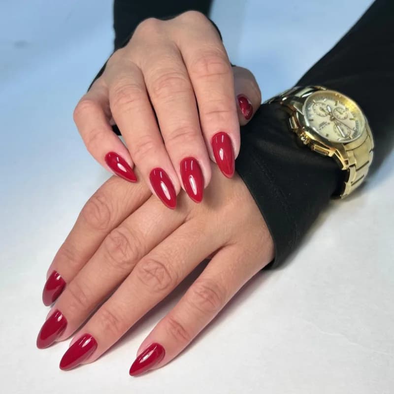 Пример работы Королевство красоты REGAL NAILS & BEAUTY (4)