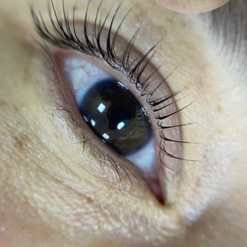 Пример работы Wow Brow & Lashes (3)