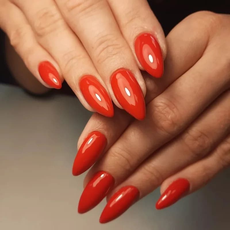 Пример работы Elvina Nails (7)
