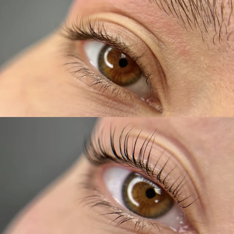 Пример работы LINAP STUDIO | Brows & Lashes (9)