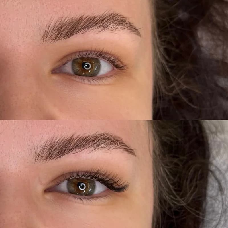 Пример работы Brows me please (2)