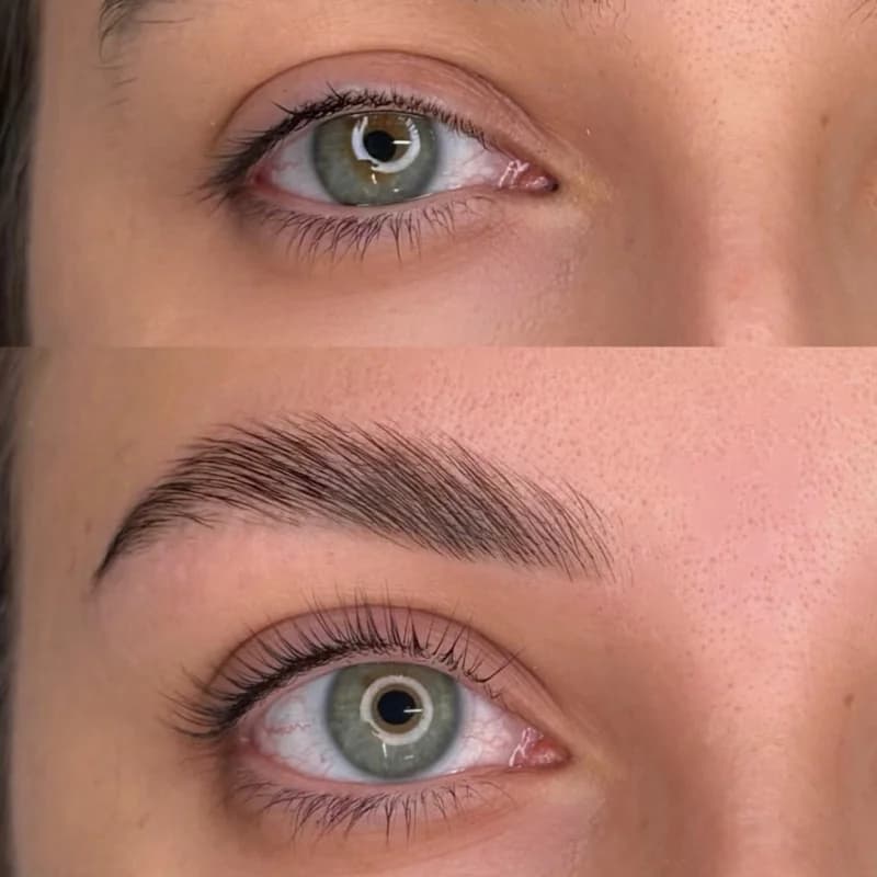 Пример работы Brows me please (1)