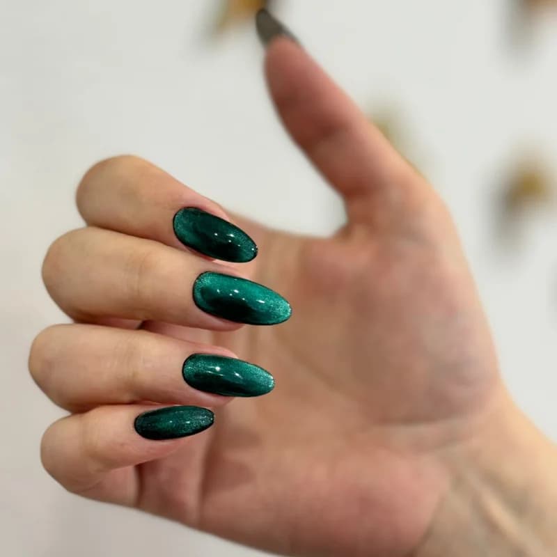 Пример работы Nails Shine Studio (6)