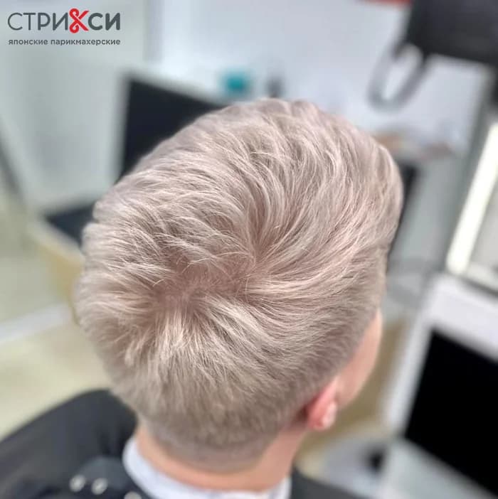 Пример работы СТРИКСИ (1)