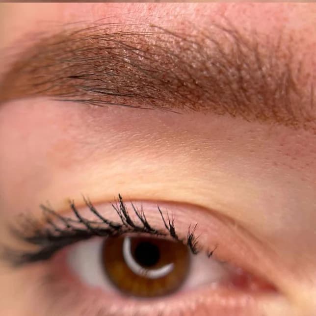 Пример работы Brows me please (8)