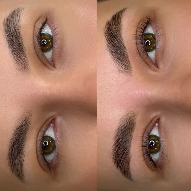 Пример работы Brows me please (3)