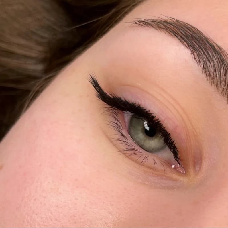 Пример работы Evtikova_lash.pmu (3)