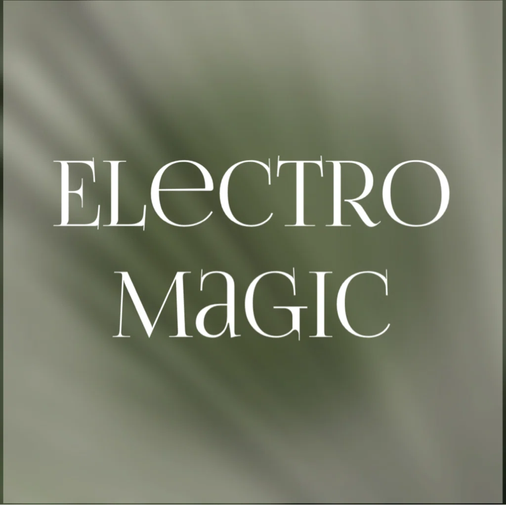 Салон ElectroMagic Studio Воронеж Никитинская 42, , 4 этаж, каб. 405 (фото 1)