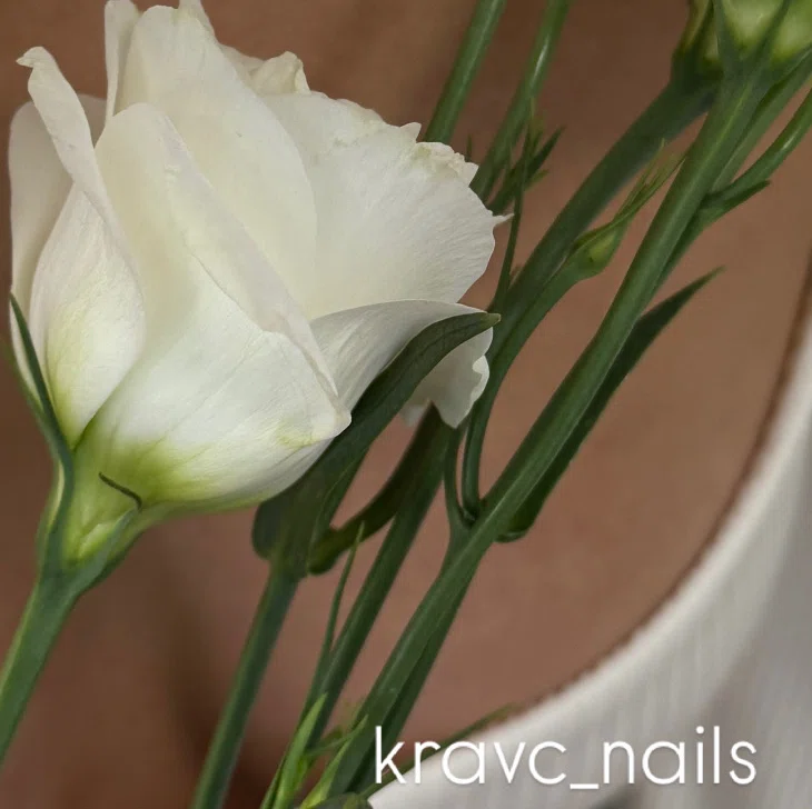 Салон kravc_nails Воронеж Арсенальная 3, 006 (фото 1)