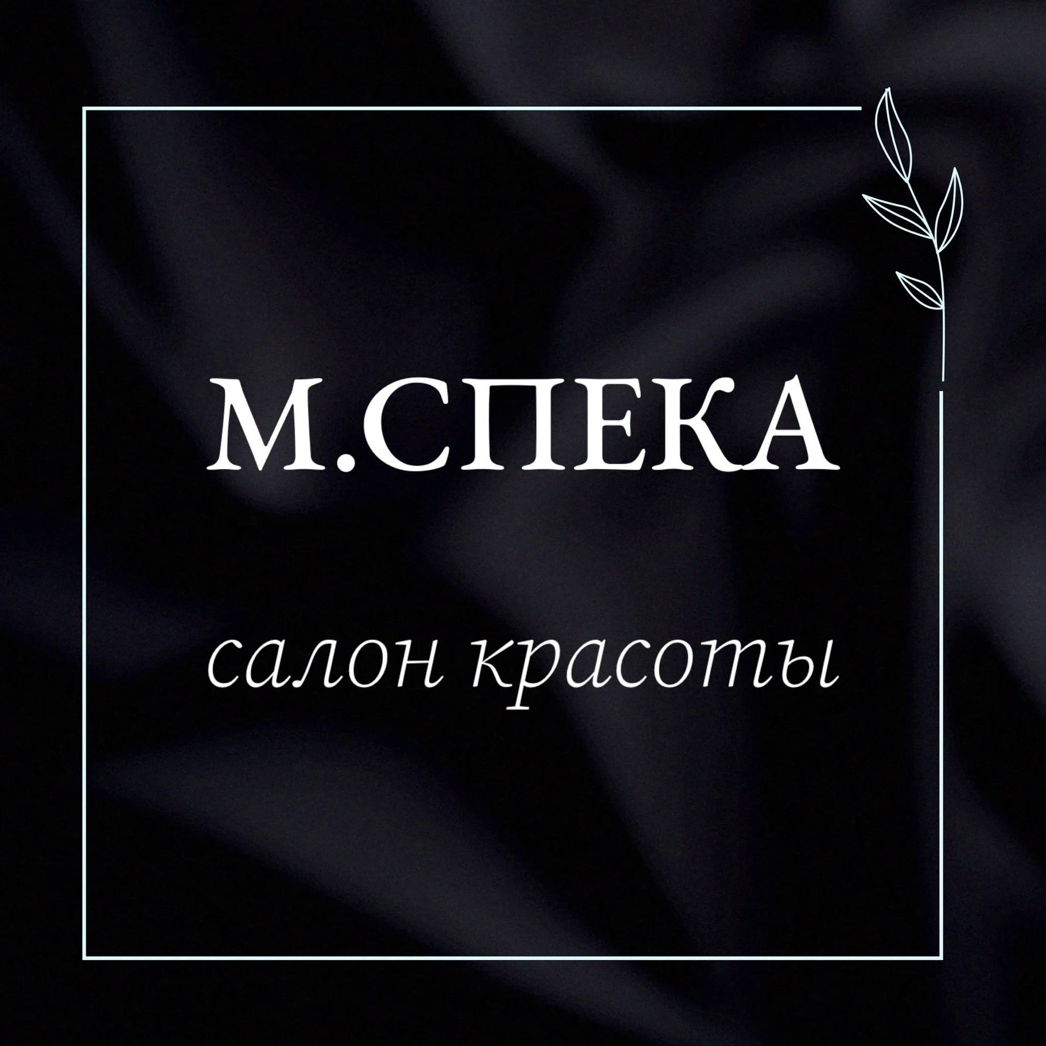 Салон Салон красоты М.СПЕКА Воронеж Кольцовская 17 (фото 1)