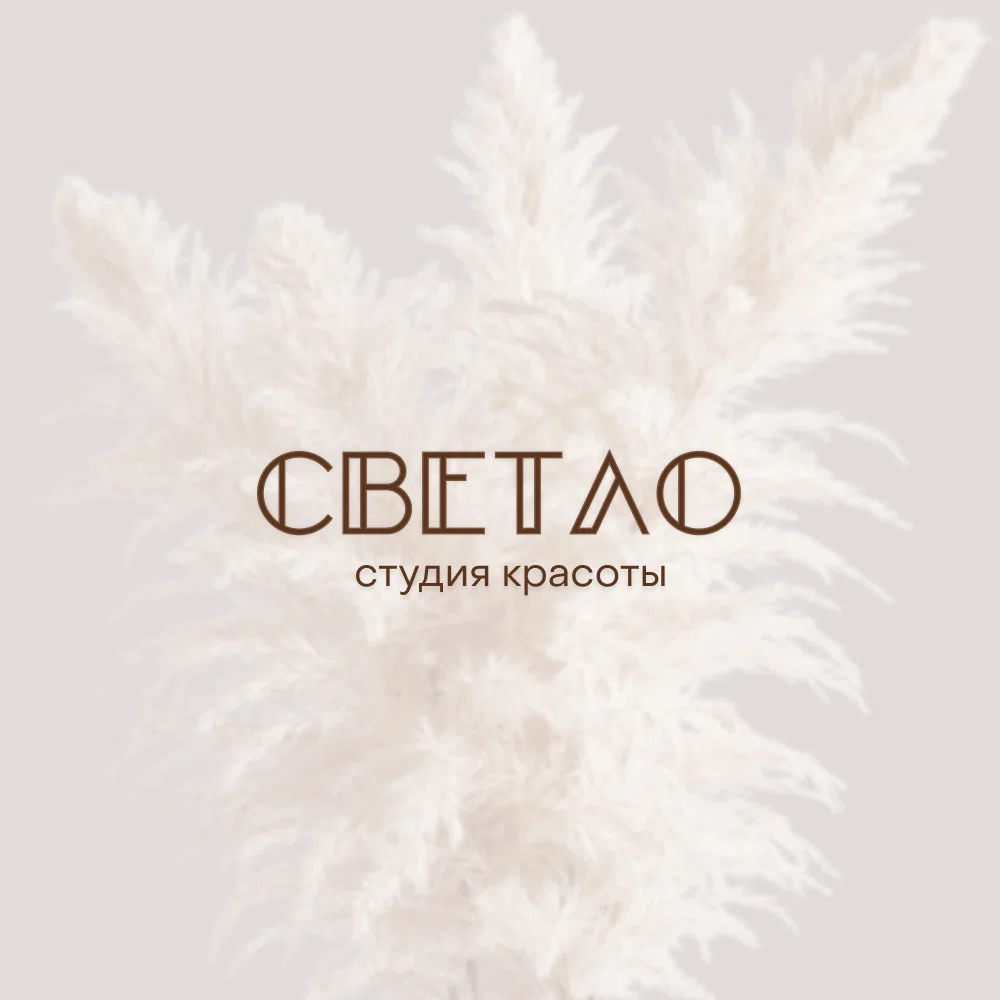 Салон Студия красоты «Светло» Воронеж Ломоносова 116а (фото 1)